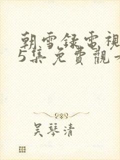 朝雪录电视剧35集免费观看