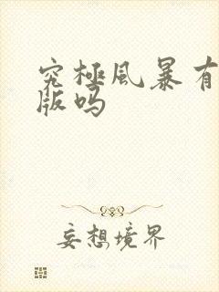 究极风暴有手机版吗