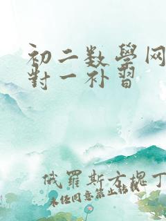 初二数学网上一对一补习