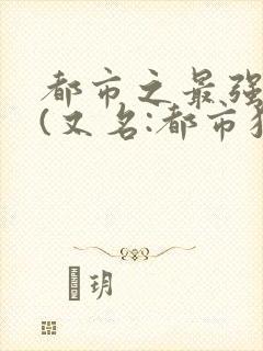 都市之最强狂兵(又名:都市狂枭) 大红大紫