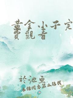 黄金小子完整免费观看