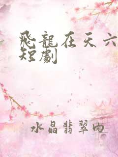 飞龙在天六皇子短剧