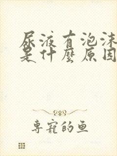 尿液有泡沫不散是什么原因