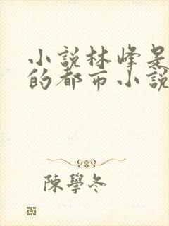 小说林峰是主角的都市小说