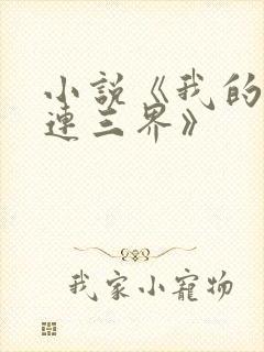 小说《我的微信连三界》