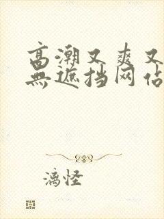 高潮又爽又黄又无遮挡网站