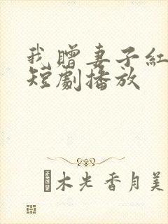 我赠妻子红缨枪短剧播放