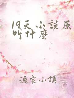 19天小说原著叫什么