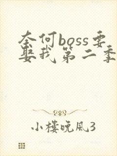 奈何boss要娶我第二季在线观看