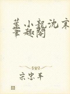 叶小龙沈寒溪_笔趣阁