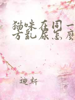 猫咪在同一个地方乱尿怎么办