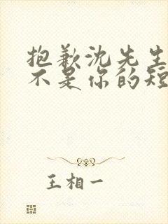 抱歉沈先生孩子不是你的短剧