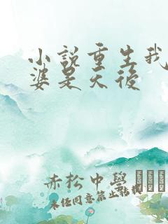 小说重生我的老婆是天后