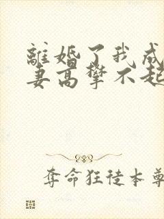 离婚了我成了前妻高攀不起的人小说