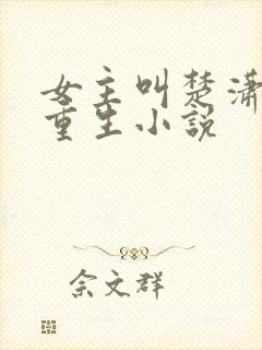 女主叫楚潇潇的重生小说