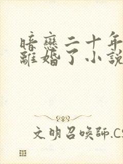 暗恋二十年的他离婚了小说