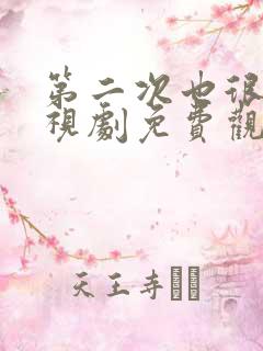 第二次也很美电视剧免费观看全集