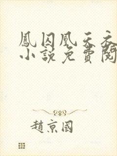 凤囚凰天衣有风小说免费阅读全文