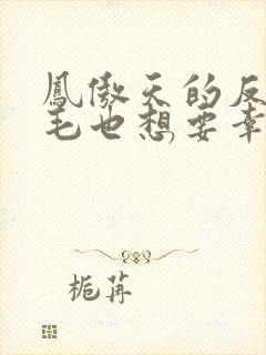 凤傲天的反派黄毛也想要幸福小说