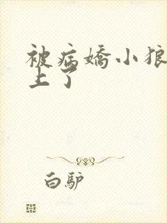 被病娇小狼狗盯上了