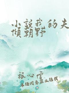 小说我的夫君权倾朝野