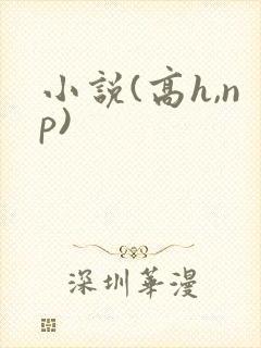 小说(高h,np)