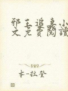 邪王追妻小说全文免费阅读完整版