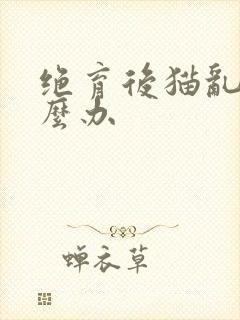 绝育后猫乱尿怎么办