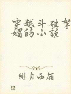 穿越斗破拿下苏媚的小说