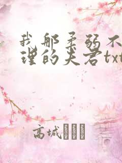 我那柔弱不能自理的夫君txt下载