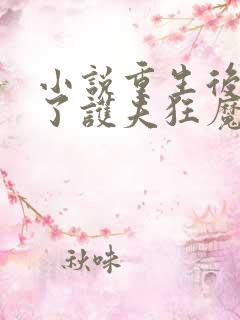 小说重生后我成了护夫狂魔免费看