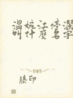 温婉江停澜小说叫什么名字