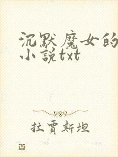 沉默魔女的秘密小说txt