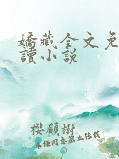 娇藏全文免费阅读小说