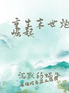 重生末世炮灰要崛起