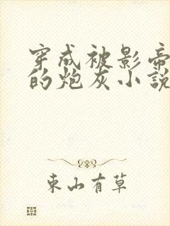 穿成被影帝抛弃的炮灰小说免费阅读