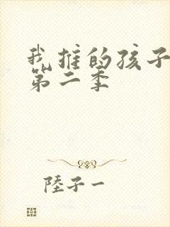 我推的孩子动漫第二季