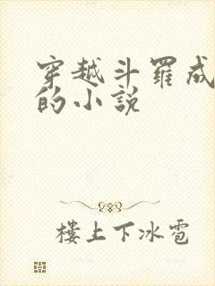 穿越斗罗成魂兽的小说