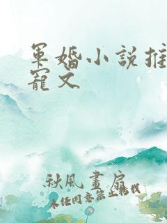 军婚小说推荐甜宠文