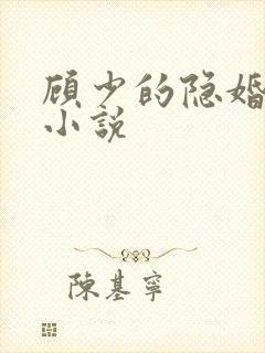 顾少的隐婚罪妻小说