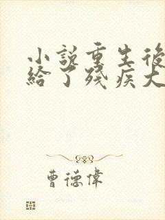 小说重生后我嫁给了残疾大佬