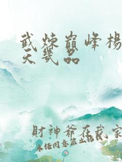 武炼巅峰杨开开天几品