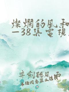 灿烂的风和海1—38集电视剧