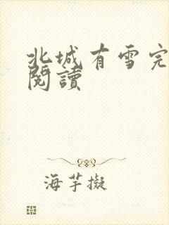 北城有雪完整版阅读