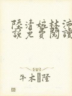 陆清婉林沛琛小说免费阅读最新章节