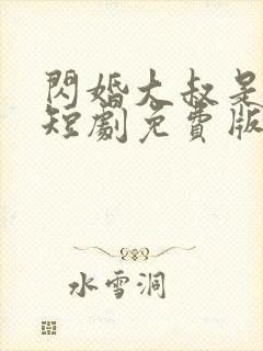 闪婚大叔是豪门短剧免费版