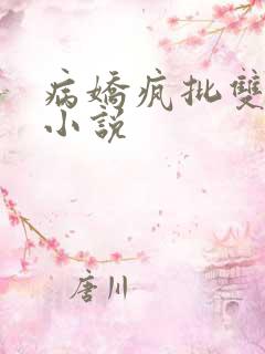 病娇疯批双男主小说
