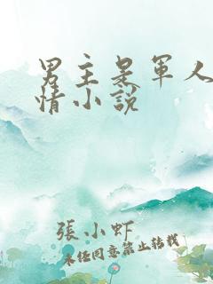 男主是军人的言情小说
