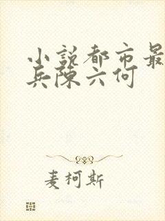 小说都市最强狂兵陈六何