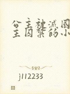 公主被灭国被男主囚禁的小说